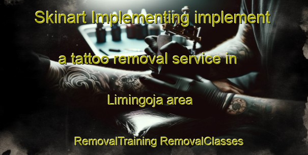 Skinart Implementing implement a tattoo removal service in Limingoja area | #RemovalTraining #RemovalClasses #SkinartTraining-Finland