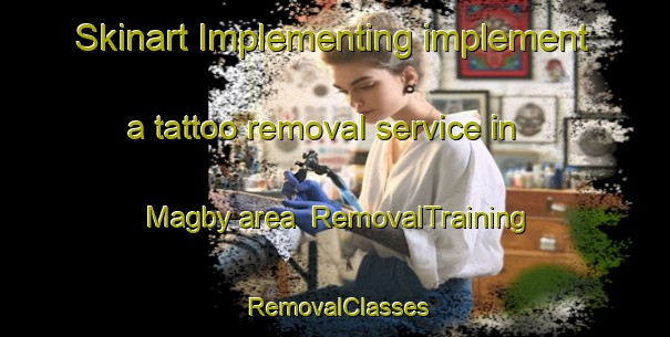 Skinart Implementing implement a tattoo removal service in Magby area | RemovalTraining | RemovalClasses | SkinartTraining-Finland