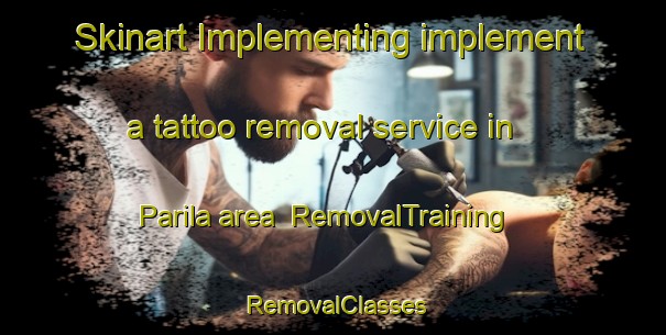 Skinart Implementing implement a tattoo removal service in Parila area | RemovalTraining | RemovalClasses | SkinartTraining-Finland