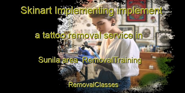 Skinart Implementing implement a tattoo removal service in Sunila area | RemovalTraining | RemovalClasses | SkinartTraining-Finland
