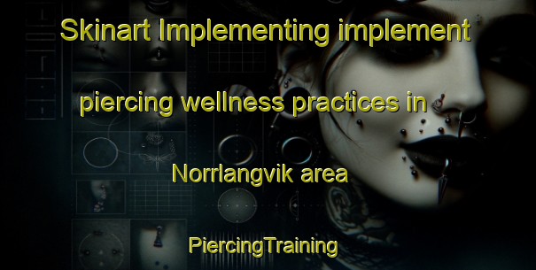 Skinart Implementing implement piercing wellness practices in Norrlangvik area | #PiercingTraining #PiercingClasses #SkinartTraining-Finland