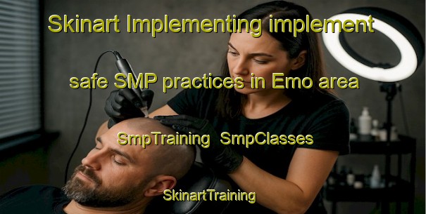Skinart Implementing implement safe SMP practices in Emo area | SmpTraining | SmpClasses | SkinartTraining-Finland