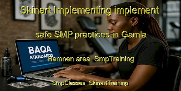 Skinart Implementing implement safe SMP practices in Gamla Hamnen area | SmpTraining | SmpClasses | SkinartTraining-Finland