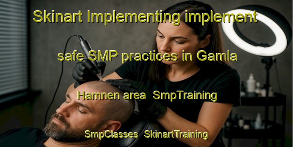 Skinart Implementing implement safe SMP practices in Gamla Hamnen area | SmpTraining | SmpClasses | SkinartTraining-Finland