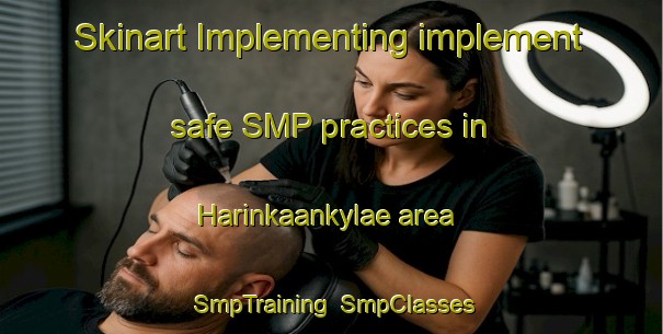 Skinart Implementing implement safe SMP practices in Harinkaankylae area | SmpTraining | SmpClasses | SkinartTraining-Finland