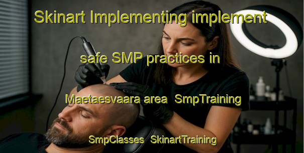 Skinart Implementing implement safe SMP practices in Maetaesvaara area | SmpTraining | SmpClasses | SkinartTraining-Finland