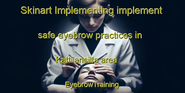 Skinart Implementing implement safe eyebrow practices in Kattilansilta area | EyebrowTraining | EyebrowClasses | SkinartTraining-Finland