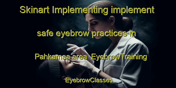 Skinart Implementing implement safe eyebrow practices in Pahkamaa area | EyebrowTraining | EyebrowClasses | SkinartTraining-Finland