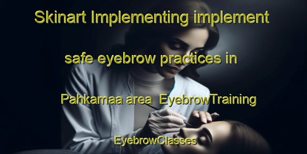 Skinart Implementing implement safe eyebrow practices in Pahkamaa area | EyebrowTraining | EyebrowClasses | SkinartTraining-Finland
