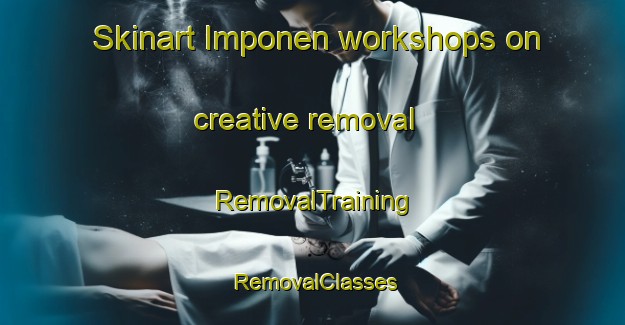 Skinart Imponen workshops on creative removal | RemovalTraining | RemovalClasses | SkinartTraining-Finland