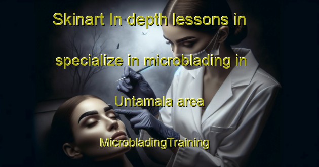 Skinart In-depth lessons in specialize in microblading in Untamala area | MicrobladingTraining | MicrobladingClasses | SkinartTraining-Finland