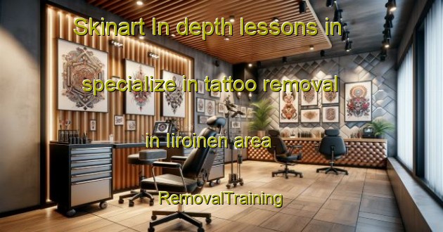 Skinart In-depth lessons in specialize in tattoo removal in Iiroinen area | RemovalTraining | RemovalClasses | SkinartTraining-Finland