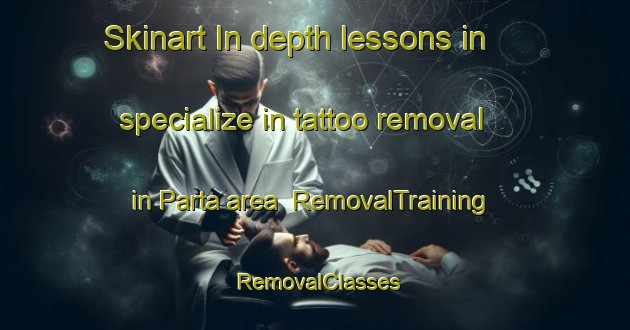 Skinart In-depth lessons in specialize in tattoo removal in Parta area | RemovalTraining | RemovalClasses | SkinartTraining-Finland