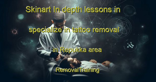 Skinart In-depth lessons in specialize in tattoo removal in Repukka area | RemovalTraining | RemovalClasses | SkinartTraining-Finland