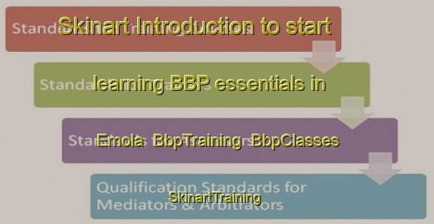 Skinart Introduction to start learning BBP essentials in Emola | BbpTraining | BbpClasses | SkinartTraining-Finland