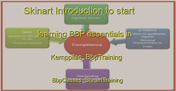 Skinart Introduction to start learning BBP essentials in Kemppilae | BbpTraining | BbpClasses | SkinartTraining-Finland