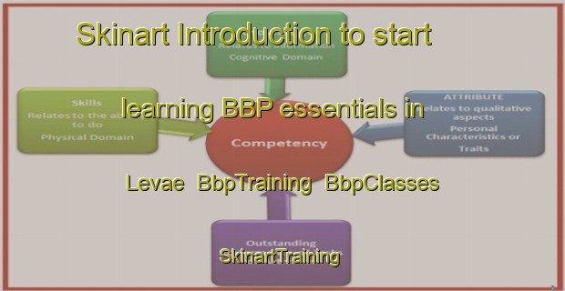 Skinart Introduction to start learning BBP essentials in Levae | BbpTraining | BbpClasses | SkinartTraining-Finland