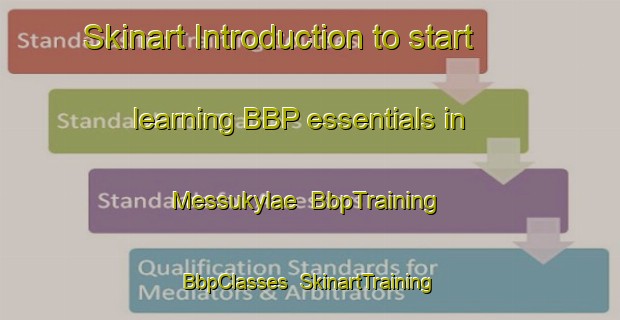 Skinart Introduction to start learning BBP essentials in Messukylae | BbpTraining | BbpClasses | SkinartTraining-Finland