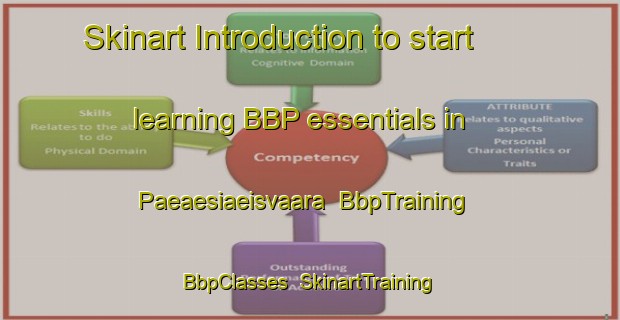 Skinart Introduction to start learning BBP essentials in Paeaesiaeisvaara | BbpTraining | BbpClasses | SkinartTraining-Finland