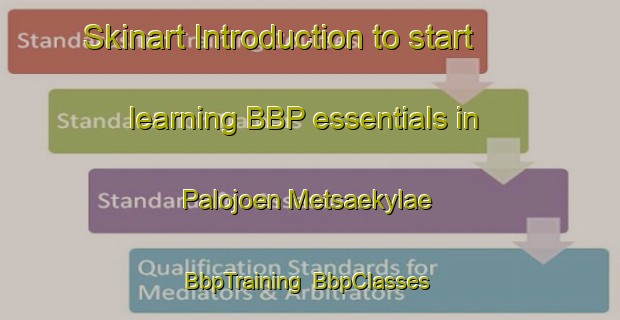 Skinart Introduction to start learning BBP essentials in Palojoen Metsaekylae | BbpTraining | BbpClasses | SkinartTraining-Finland