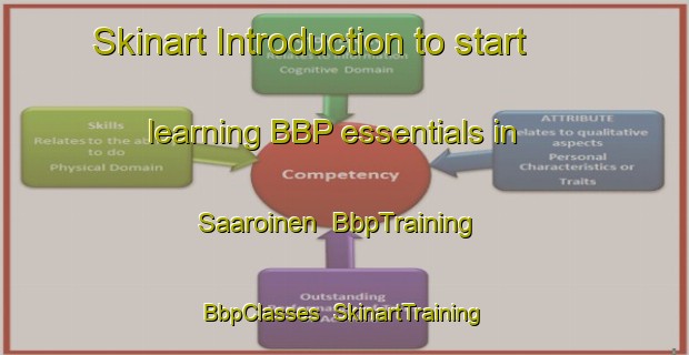 Skinart Introduction to start learning BBP essentials in Saaroinen | BbpTraining | BbpClasses | SkinartTraining-Finland