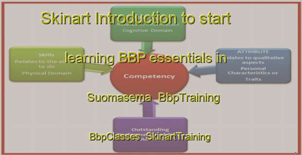 Skinart Introduction to start learning BBP essentials in Suomasema | BbpTraining | BbpClasses | SkinartTraining-Finland