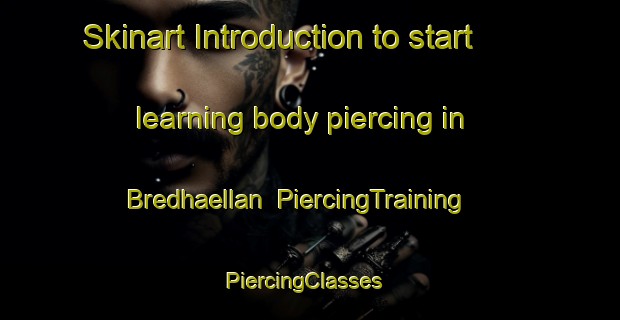 Skinart Introduction to start learning body piercing in Bredhaellan | PiercingTraining | PiercingClasses | SkinartTraining-Finland