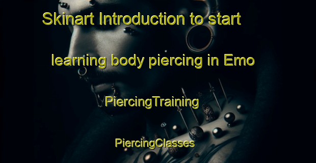 Skinart Introduction to start learning body piercing in Emo | PiercingTraining | PiercingClasses | SkinartTraining-Finland