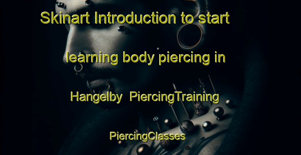Skinart Introduction to start learning body piercing in Hangelby | PiercingTraining | PiercingClasses | SkinartTraining-Finland