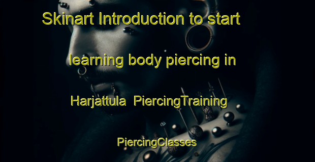 Skinart Introduction to start learning body piercing in Harjattula | #PiercingTraining #PiercingClasses #SkinartTraining-Finland