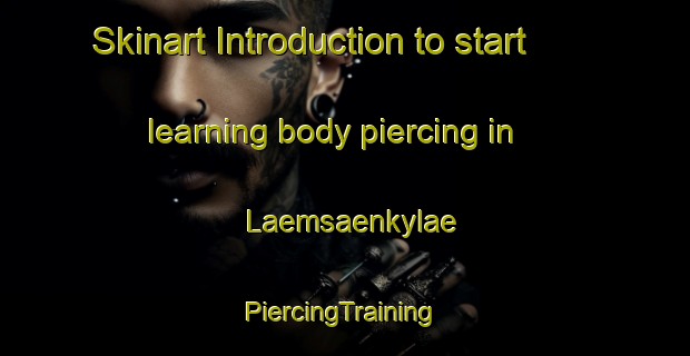 Skinart Introduction to start learning body piercing in Laemsaenkylae | #PiercingTraining #PiercingClasses #SkinartTraining-Finland