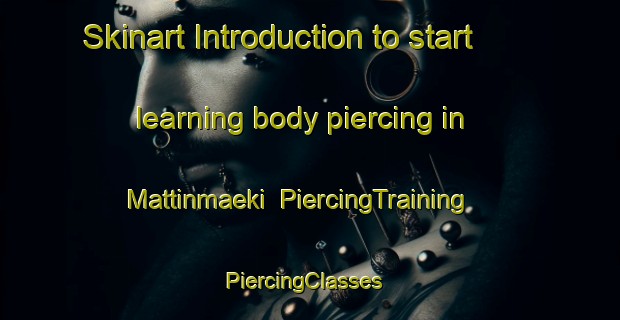 Skinart Introduction to start learning body piercing in Mattinmaeki | PiercingTraining | PiercingClasses | SkinartTraining-Finland