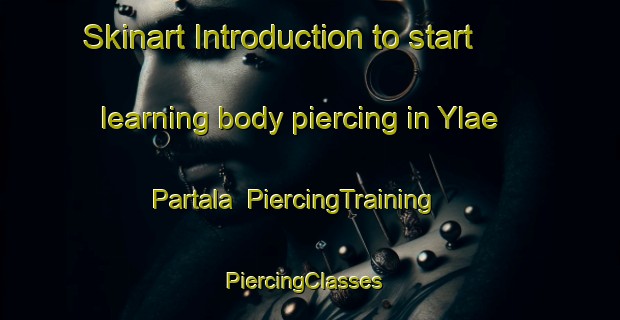Skinart Introduction to start learning body piercing in Ylae Partala | PiercingTraining | PiercingClasses | SkinartTraining-Finland