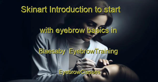 Skinart Introduction to start with eyebrow basics in Blaesaby | EyebrowTraining | EyebrowClasses | SkinartTraining-Finland