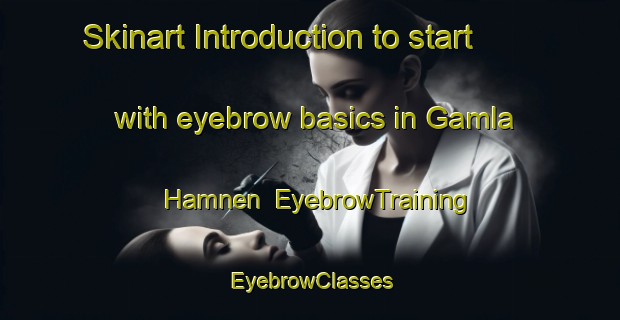 Skinart Introduction to start with eyebrow basics in Gamla Hamnen | EyebrowTraining | EyebrowClasses | SkinartTraining-Finland