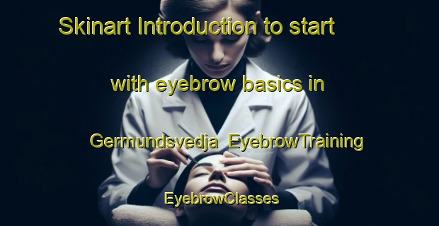 Skinart Introduction to start with eyebrow basics in Germundsvedja | EyebrowTraining | EyebrowClasses | SkinartTraining-Finland