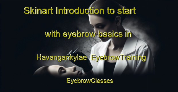 Skinart Introduction to start with eyebrow basics in Havangankylae | EyebrowTraining | EyebrowClasses | SkinartTraining-Finland