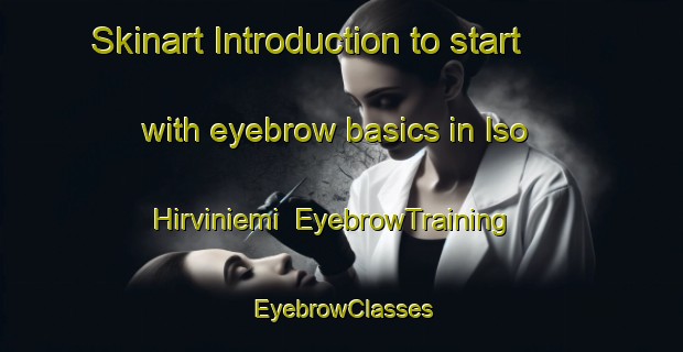 Skinart Introduction to start with eyebrow basics in Iso Hirviniemi | EyebrowTraining | EyebrowClasses | SkinartTraining-Finland