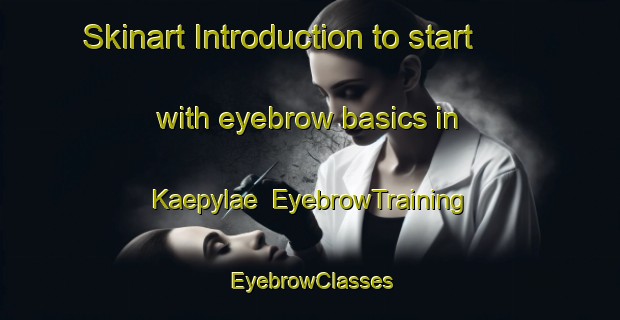 Skinart Introduction to start with eyebrow basics in Kaepylae | EyebrowTraining | EyebrowClasses | SkinartTraining-Finland
