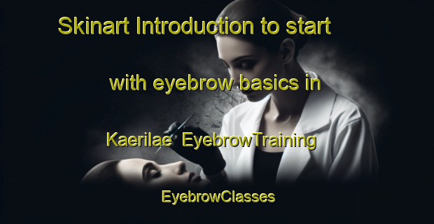 Skinart Introduction to start with eyebrow basics in Kaerilae | EyebrowTraining | EyebrowClasses | SkinartTraining-Finland