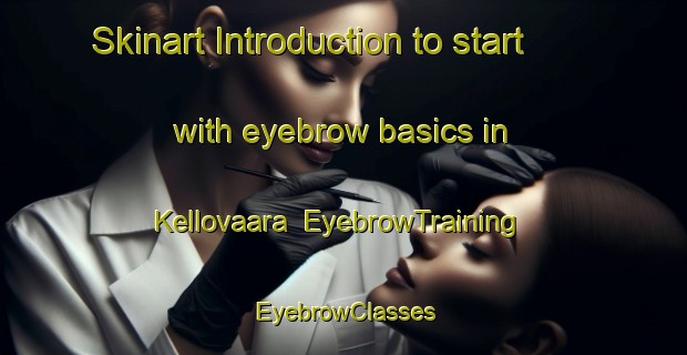 Skinart Introduction to start with eyebrow basics in Kellovaara | EyebrowTraining | EyebrowClasses | SkinartTraining-Finland