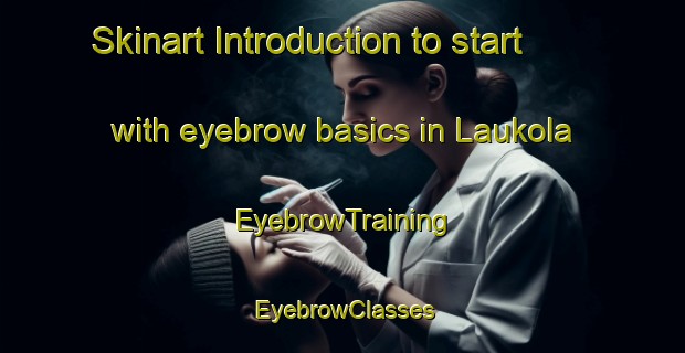 Skinart Introduction to start with eyebrow basics in Laukola | EyebrowTraining | EyebrowClasses | SkinartTraining-Finland