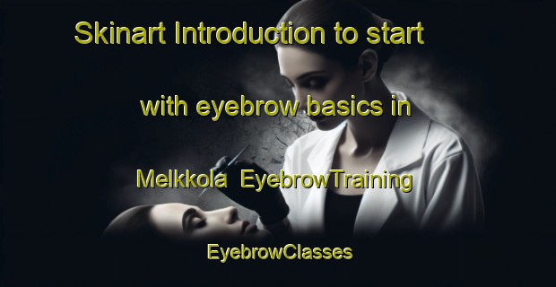 Skinart Introduction to start with eyebrow basics in Melkkola | EyebrowTraining | EyebrowClasses | SkinartTraining-Finland