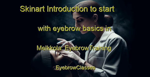 Skinart Introduction to start with eyebrow basics in Melkkola | EyebrowTraining | EyebrowClasses | SkinartTraining-Finland