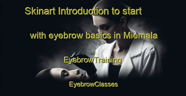 Skinart Introduction to start with eyebrow basics in Miemala | EyebrowTraining | EyebrowClasses | SkinartTraining-Finland