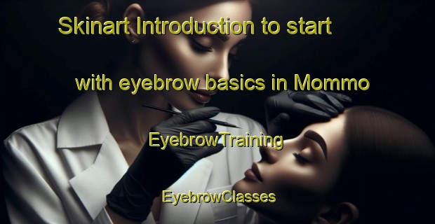 Skinart Introduction to start with eyebrow basics in Mommo | EyebrowTraining | EyebrowClasses | SkinartTraining-Finland