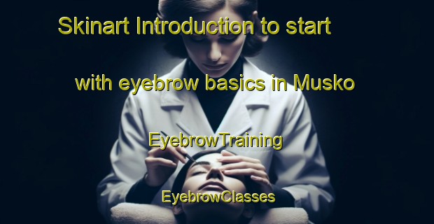 Skinart Introduction to start with eyebrow basics in Musko | EyebrowTraining | EyebrowClasses | SkinartTraining-Finland