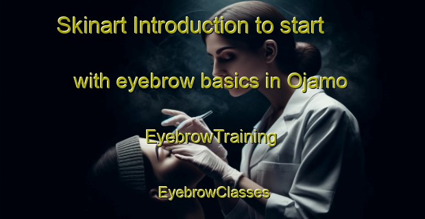 Skinart Introduction to start with eyebrow basics in Ojamo | EyebrowTraining | EyebrowClasses | SkinartTraining-Finland