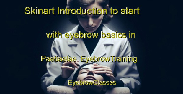 Skinart Introduction to start with eyebrow basics in Paetiaelae | EyebrowTraining | EyebrowClasses | SkinartTraining-Finland