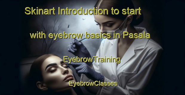 Skinart Introduction to start with eyebrow basics in Pasala | EyebrowTraining | EyebrowClasses | SkinartTraining-Finland